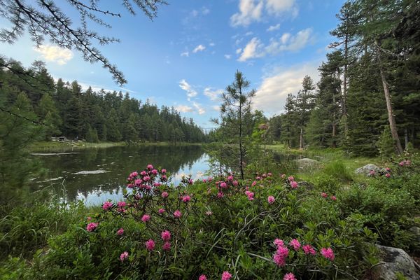 Chesa Munteratsch 2-Zimmerwohnung 301 Typ E Silvaplana - 