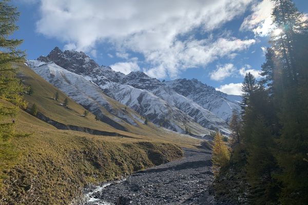 Chesa Munteratsch 2-Zimmerwohnung 301 Typ E Silvaplana - 