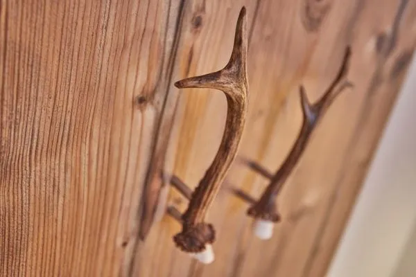 Decorative detail  Felsenfest