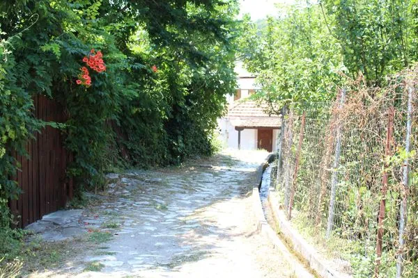 way to the house  De Kiriko