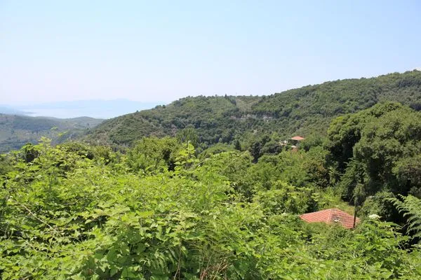 Bird's eye view  De Kiriko