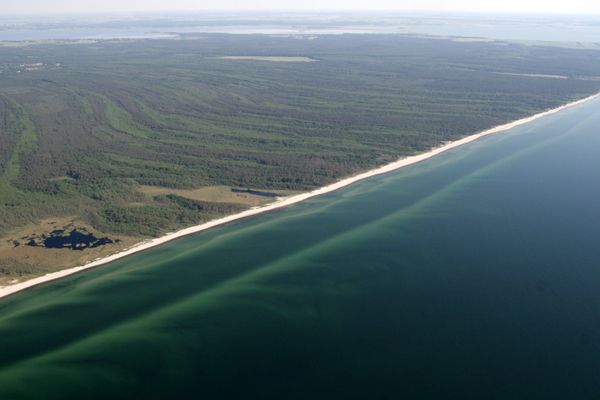  Vogelnest Born - Strand