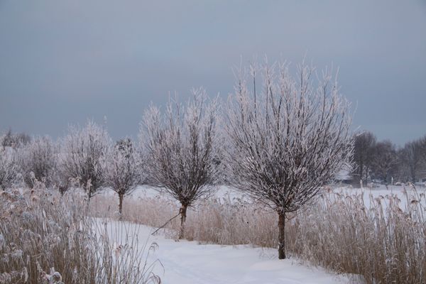 Am Trommelplatz - Ferienwohnung 2  - Landschaft