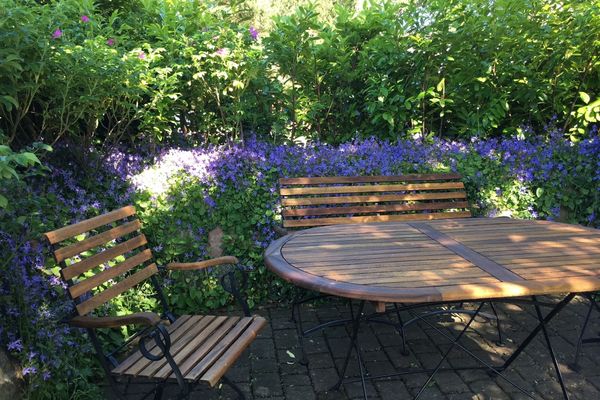 Am Trommelplatz - Ferienwohnung 4  - Terrasse