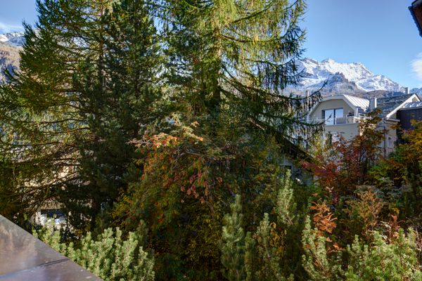 Chesa Munteratsch 1 1/2-Zimmerwohnung 309 Typ C Silvaplana - Garden view