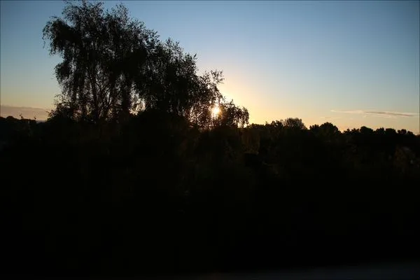 Gartenblick  (ROD32) Ferienwohnung "Schneider"