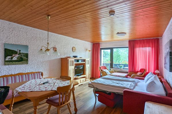 Allgäuer Appartementhaus Bergsonnenappartement II / Whg. 9  - Wohnzimmer