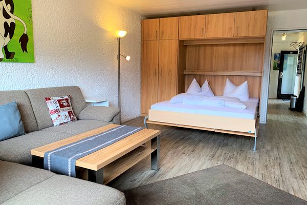 Allgäuer Appartementhaus Appartement Frohnatur / Whg. 24  - Wohnzimmer