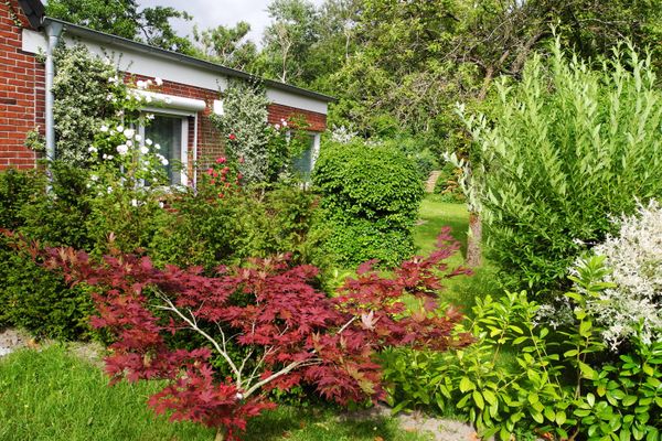  Wohnung Deichbär Dorf - Garten