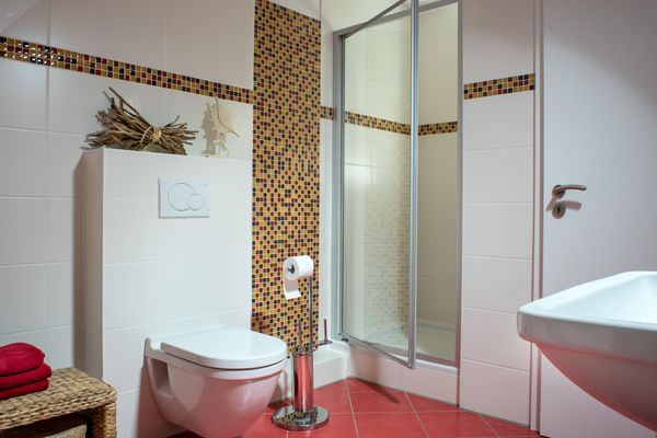  Haus Düneninsel Ording - Badezimmer
