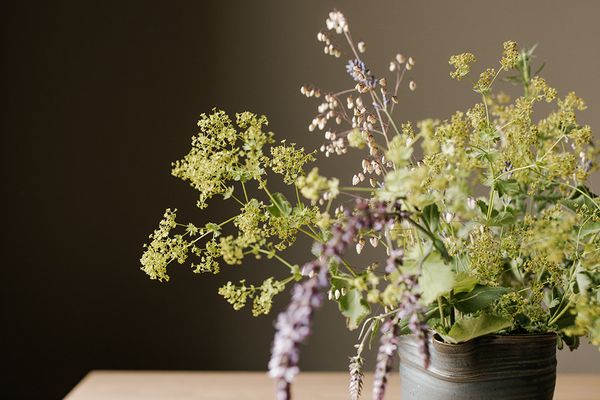 DIE.VIER DAS.DRITTE Wieck - Dekoratives Detail