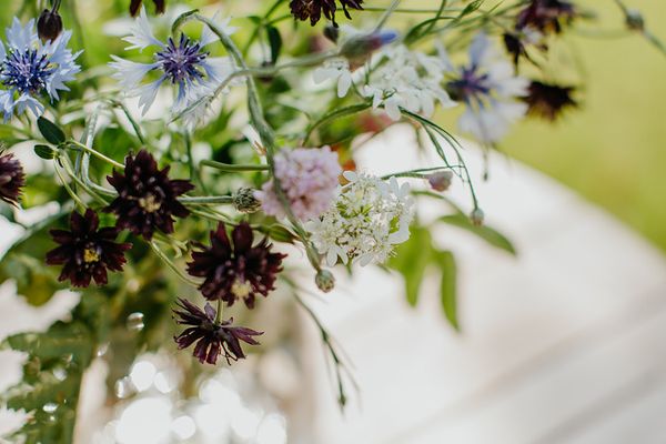  Halfhouse Wieck Wieck - Dekoratives Detail