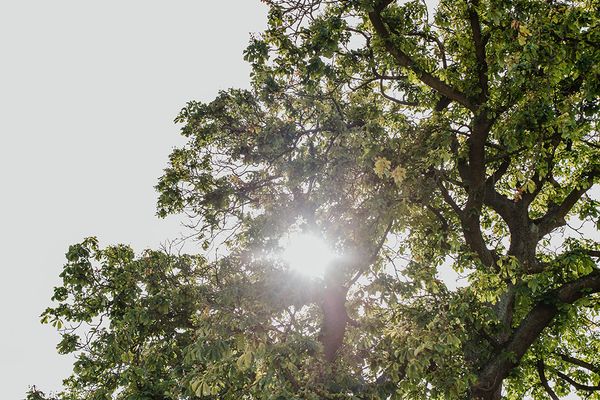  Halfhouse Wieck Wieck - 