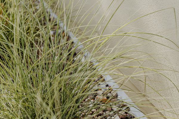  Halfhouse Wieck Wieck - Garten