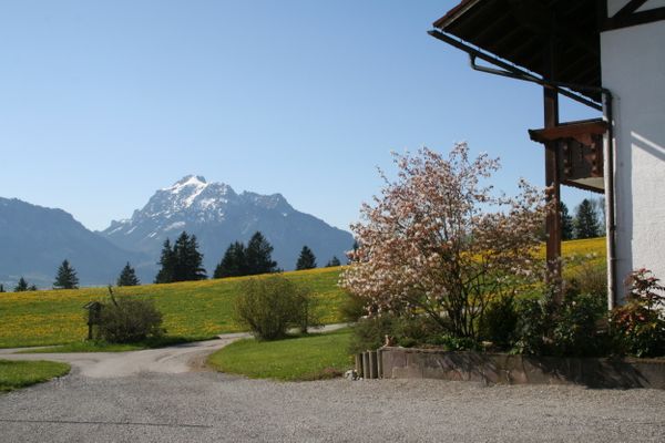 BIO-Bauernhof Salenberghof Ferienwohnung Bergsee Ferienwohnungen in Rieden am Forggensee - Landschaft