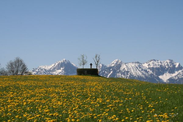 BIO-Bauernhof Salenberghof Ferienwohnung Panorama Ferienwohnungen in Rieden am Forggensee - Berge