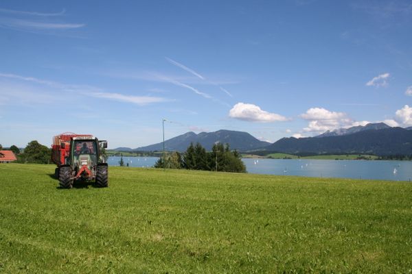 BIO-Bauernhof Salenberghof Ferienwohnung Panorama Ferienwohnungen in Rieden am Forggensee - Landschaft