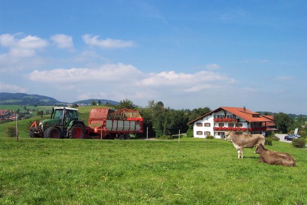 BIO-Bauernhof Salenberghof Ferienwohnung Traumblick Ferienwohnungen in Rieden am Forggensee - Landschaft