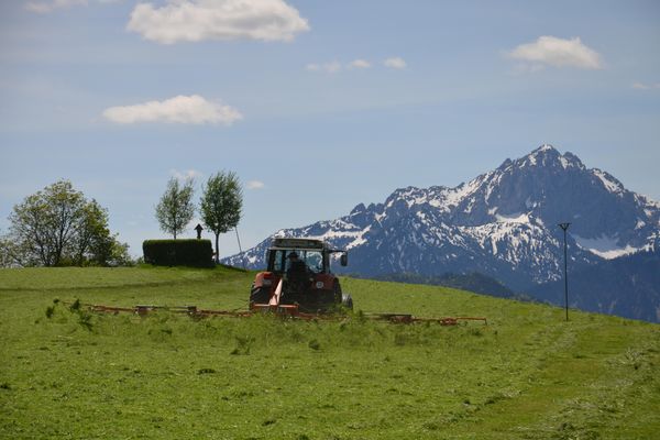 BIO-Bauernhof Salenberghof Ferienwohnung Traumblick Ferienwohnungen in Rieden am Forggensee - Landschaft
