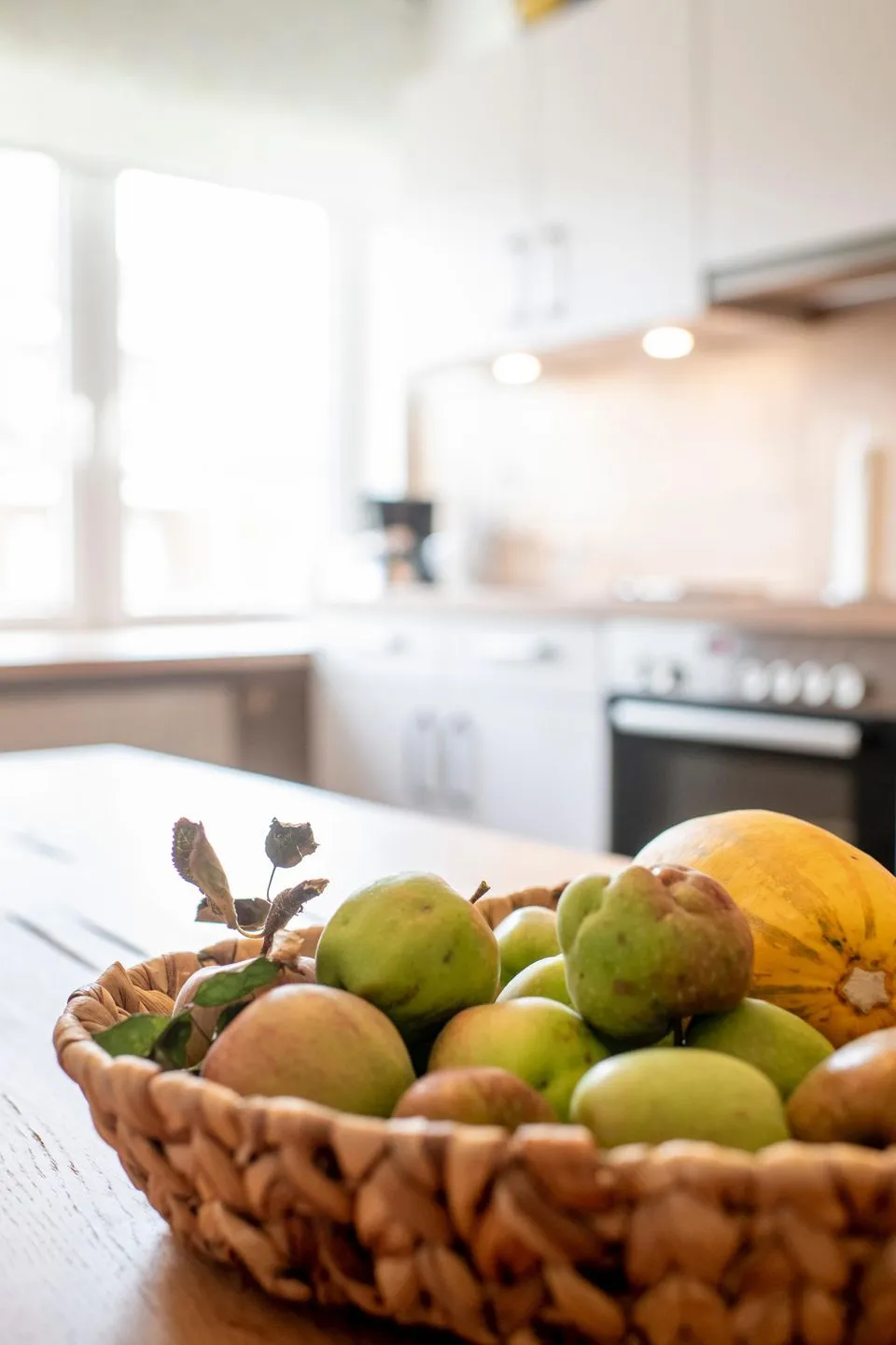 Das Künstlerhaus 'MALKASTEN' OG  -