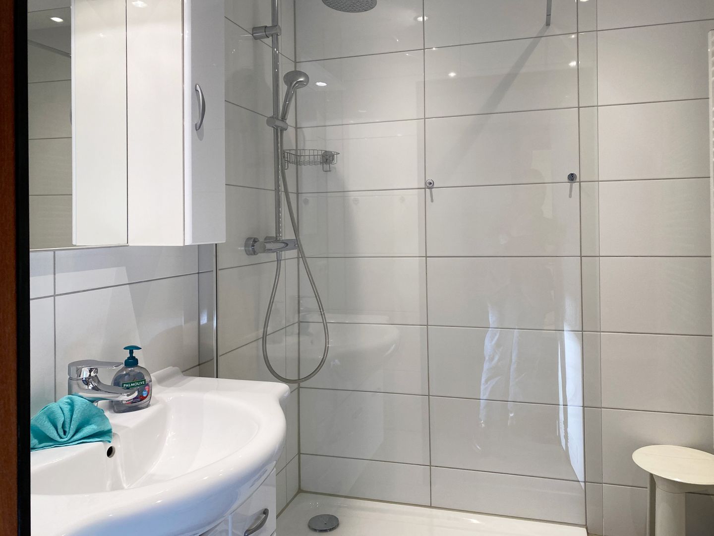 Kaiserhof Apartment 103, Typ A  - Badezimmer