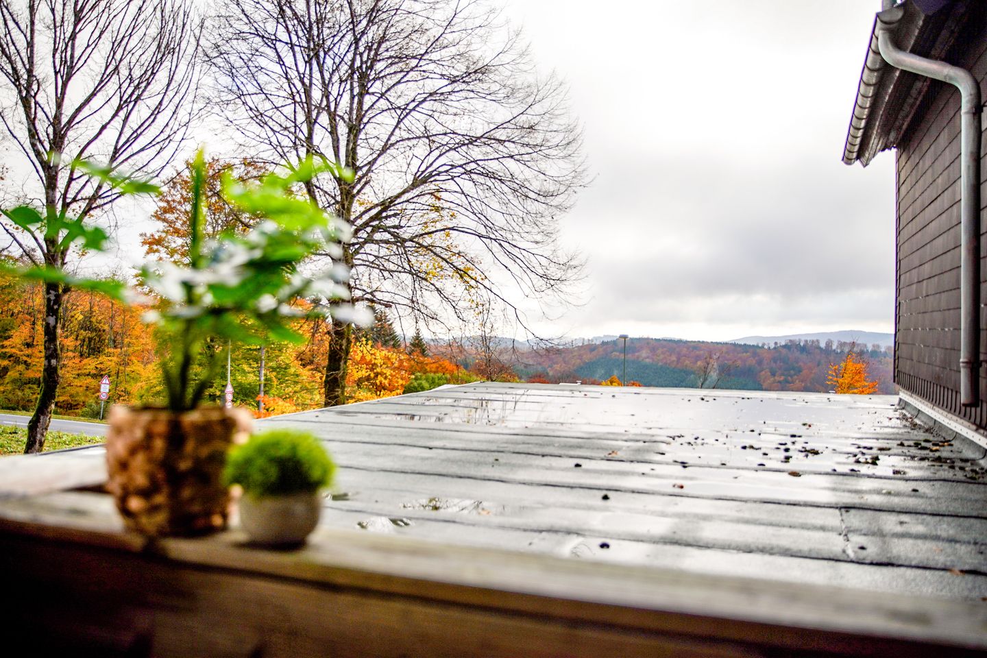 Smart Resorts Haus Saphir Ferienwohnung 505 Winterberg - Neuastenberg - Balcony