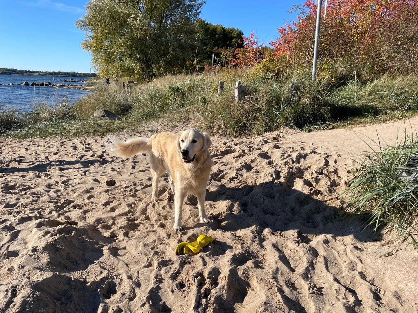 Fewo Strandgut Dahme - Strand