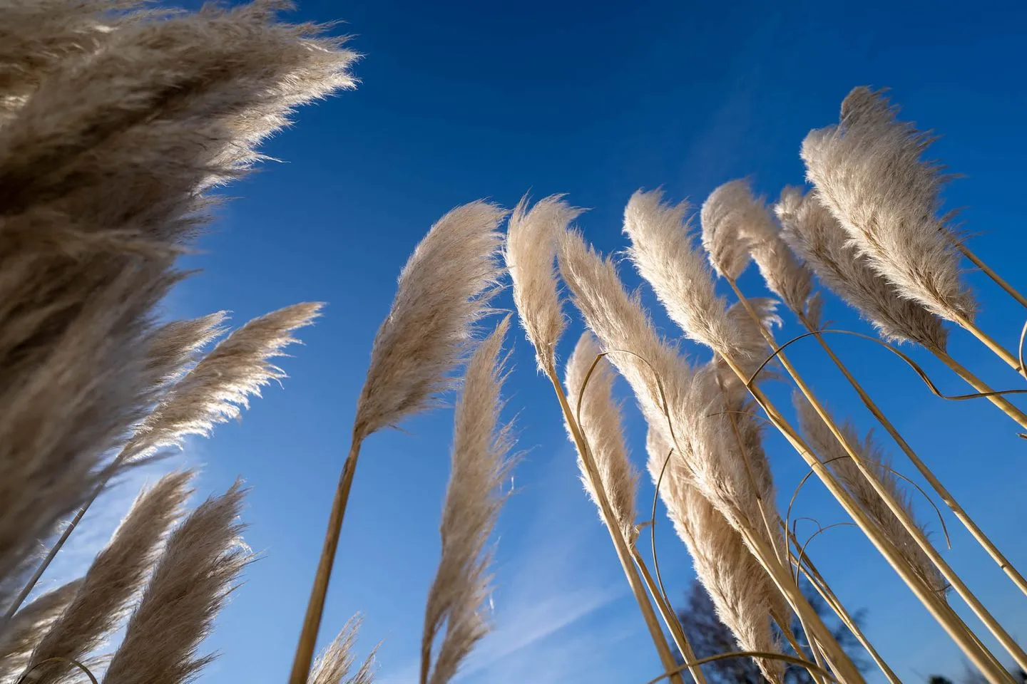 Kleinod Appartement Helena SPO Dorf - 