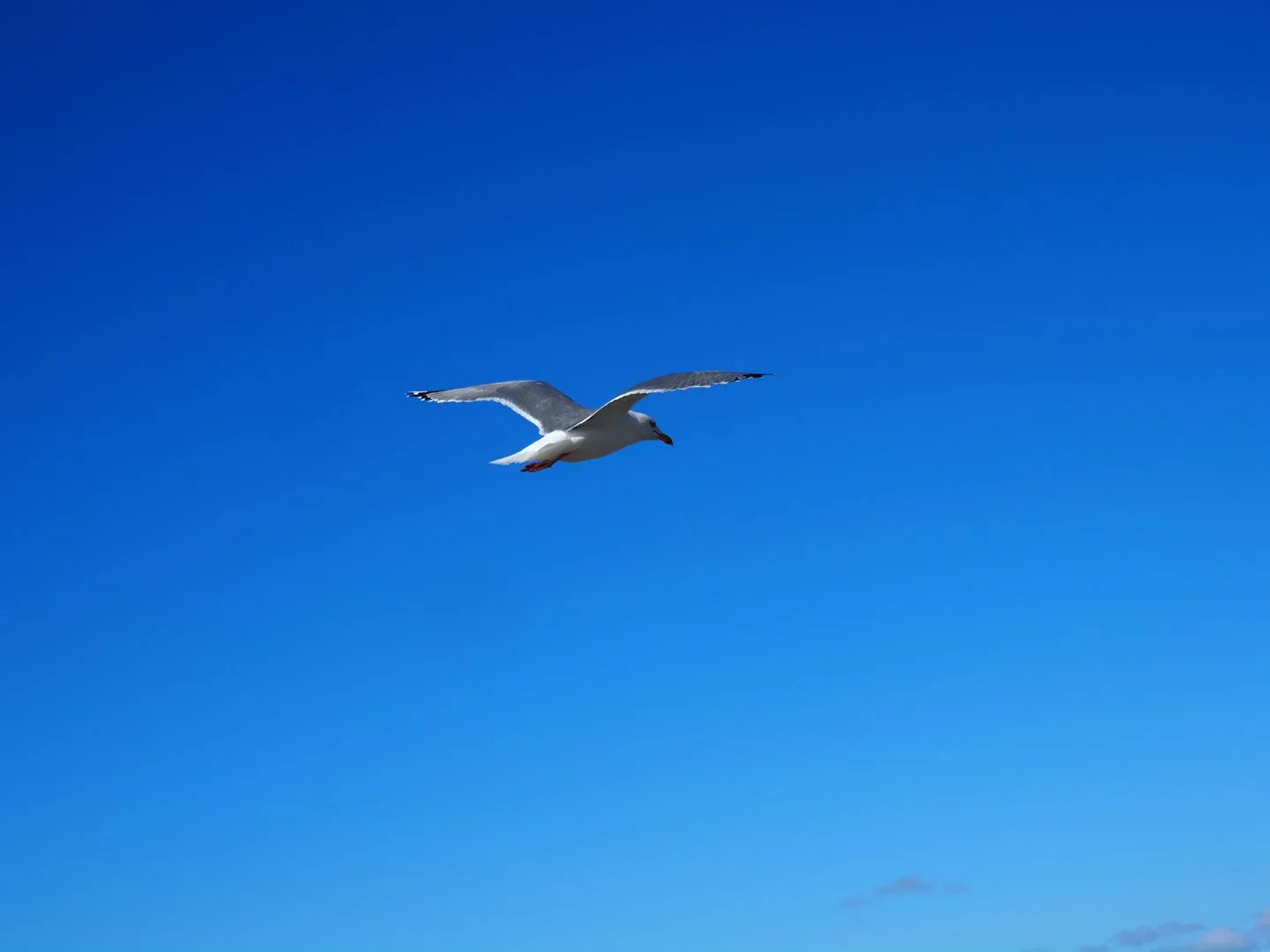 Reetdachhaus Wattenmeer Reetdachhaus Wattenmeer SPO Ording - 