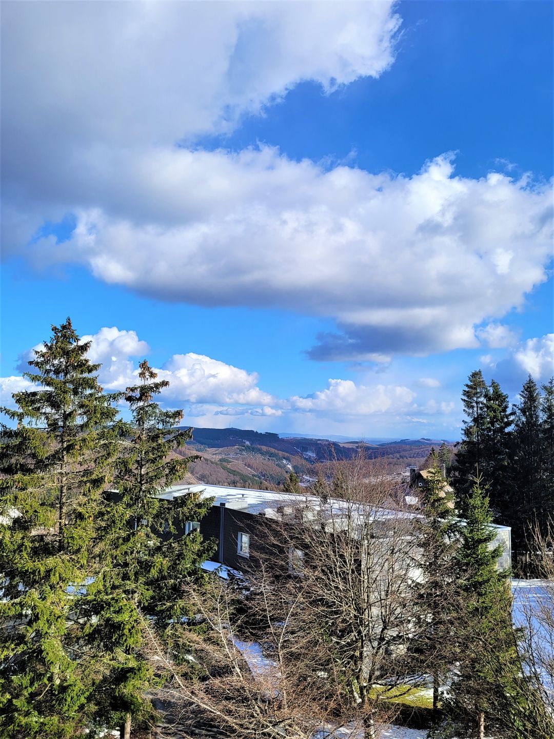 Winterberg Appartement 21122 Winterberg -