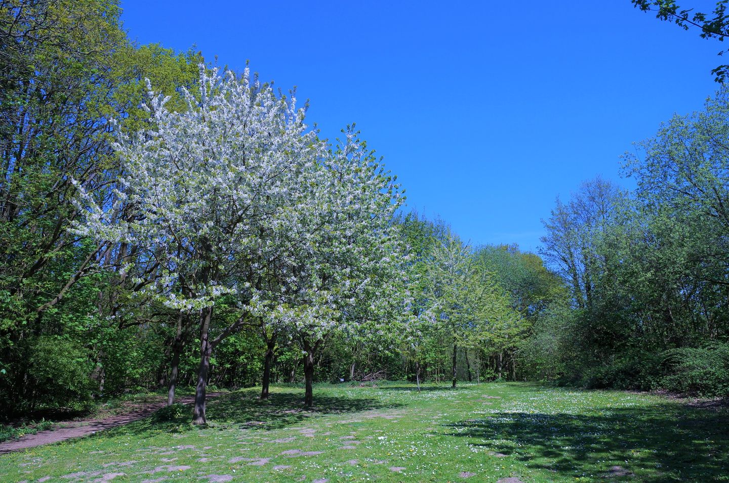 Panoramic App. A03-1 Sierksdorf - Landschaft