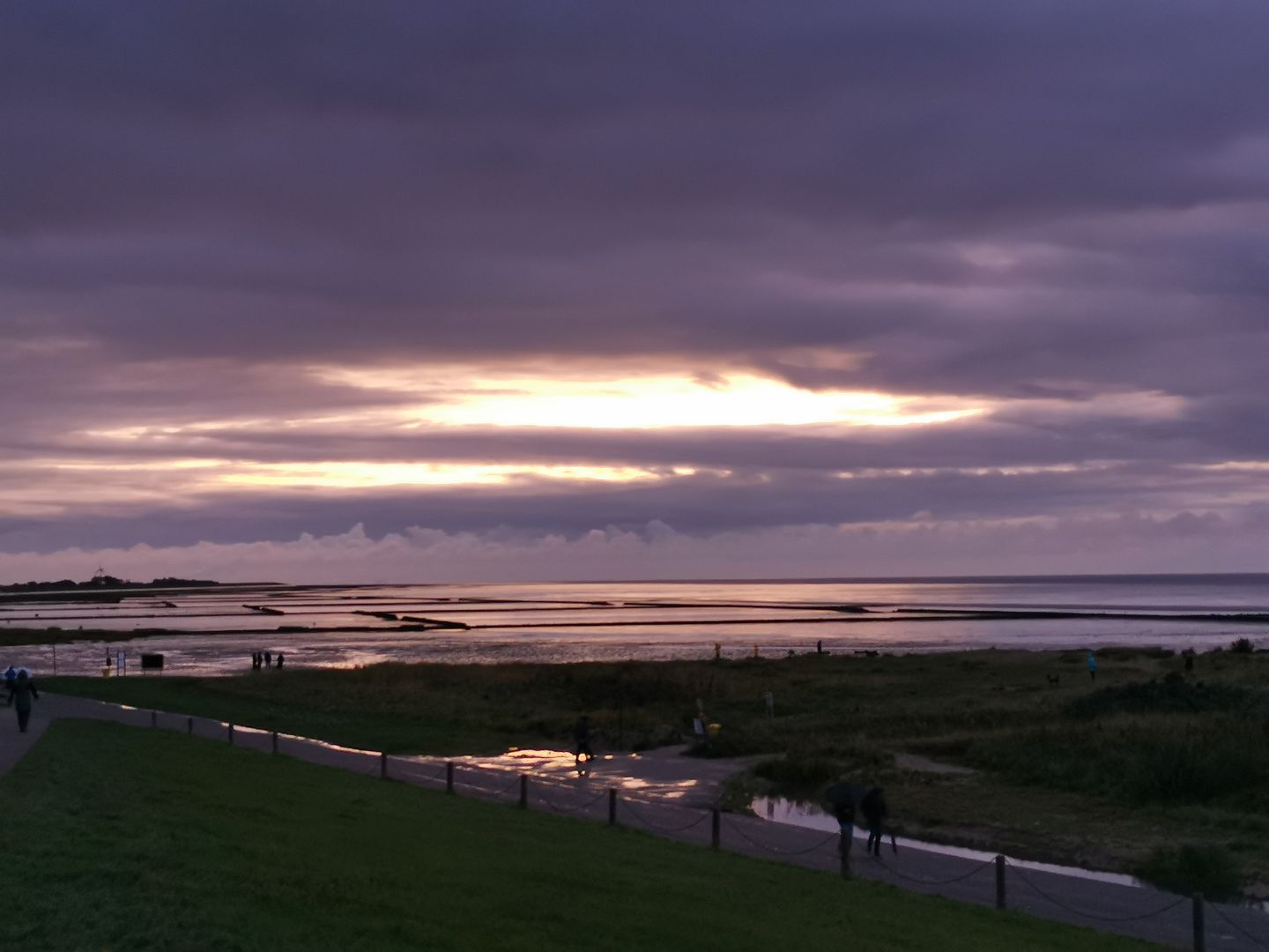  Nordseemuschel Norddeich - 