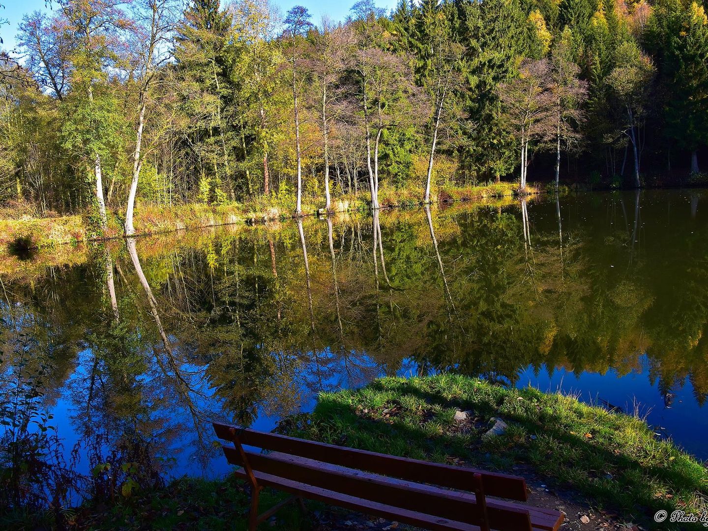  Harz - Schwalbenherd_Umgebungsbilder