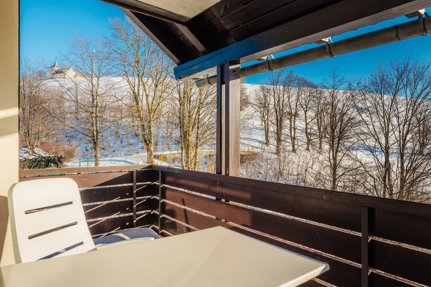  Harz - Schwalbenherd_Balkonausblick