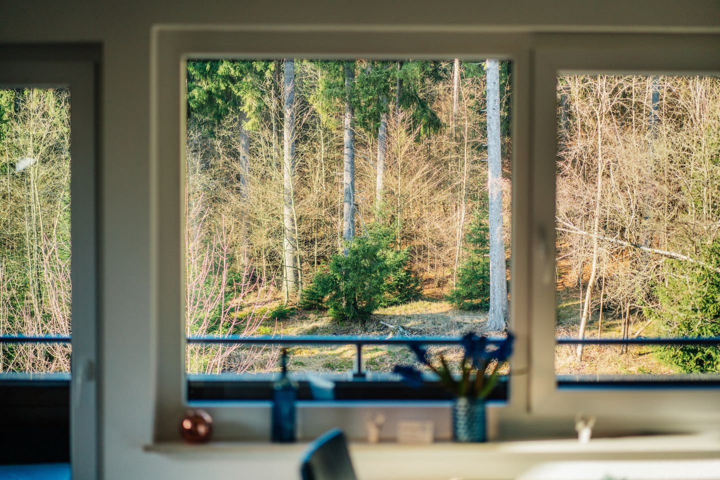  Braunlage - Gästehaus Karl Röhrig_Ausblick rund ums Haus