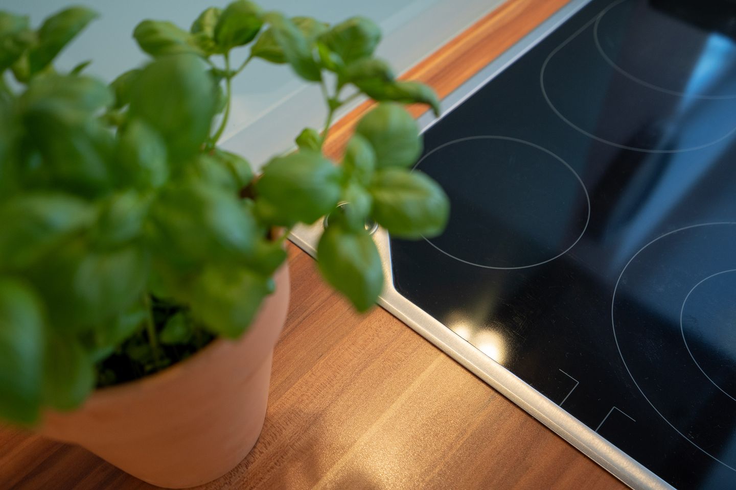  Bad/501 Scharbeutz - Dekoratives Detail