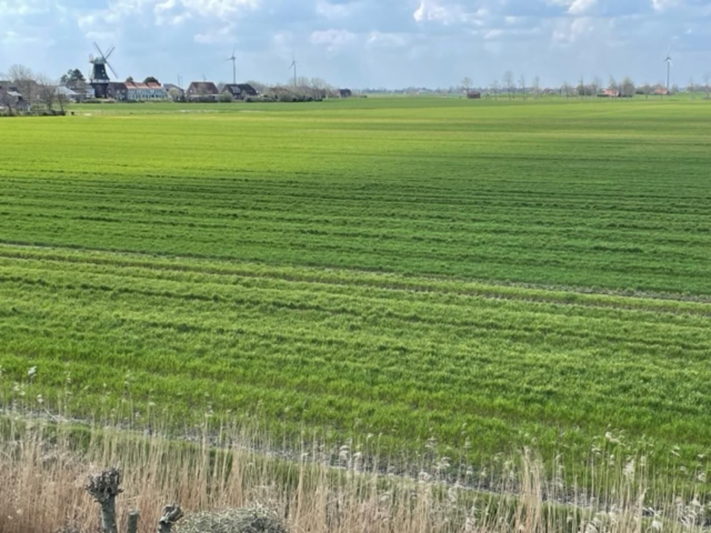  Ferienhaus Mühlenblick 12 Carolinensiel - 