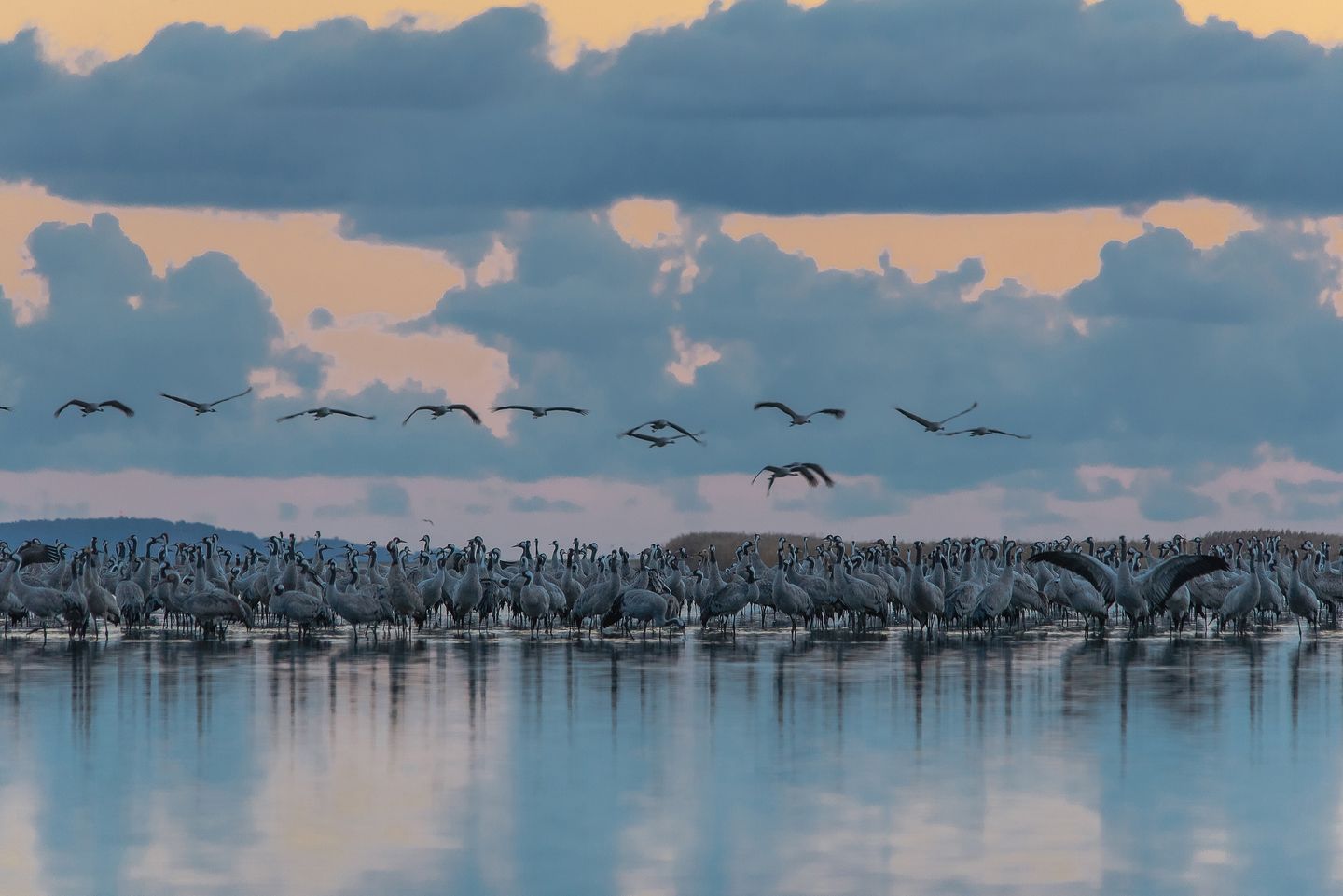 Hafenstrasse  41a "Haus Marienlinde" Deutschland - 