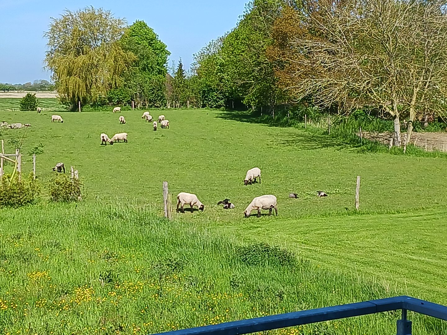  Haus Pia/ Wohnung Ausblick Werdum - 