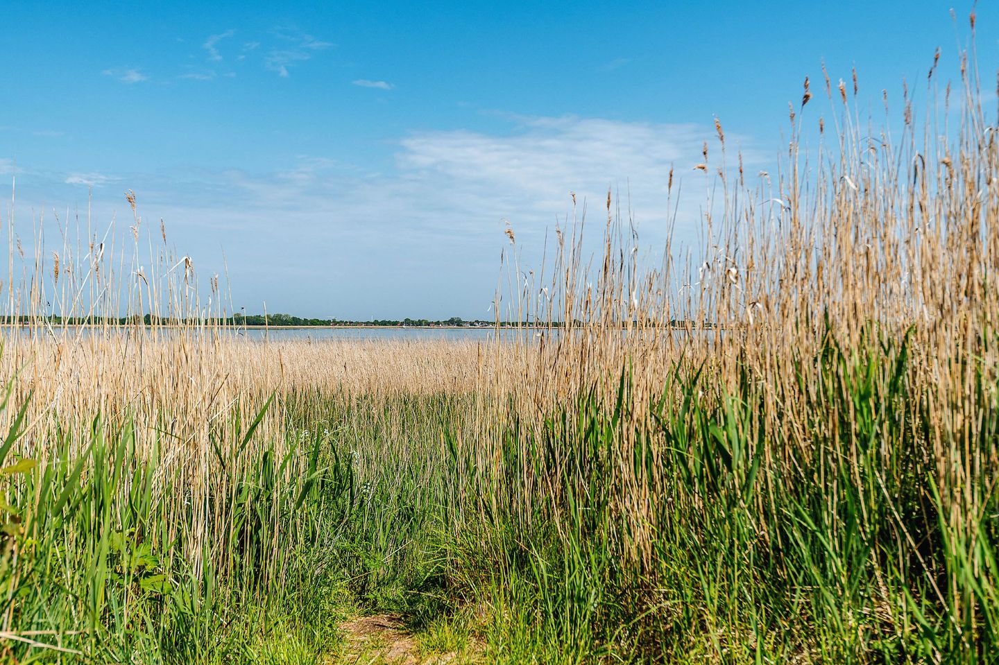  Zur Oie 27 "Westwind" (links) Fischland-Darss-Zingst - 