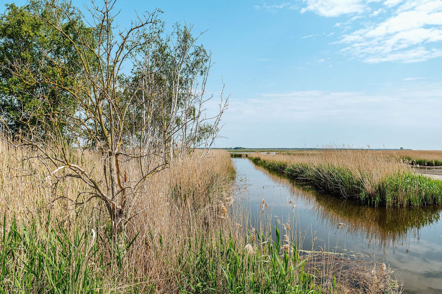  Zur Oie 27 "Westwind" (links) Fischland-Darss-Zingst - 