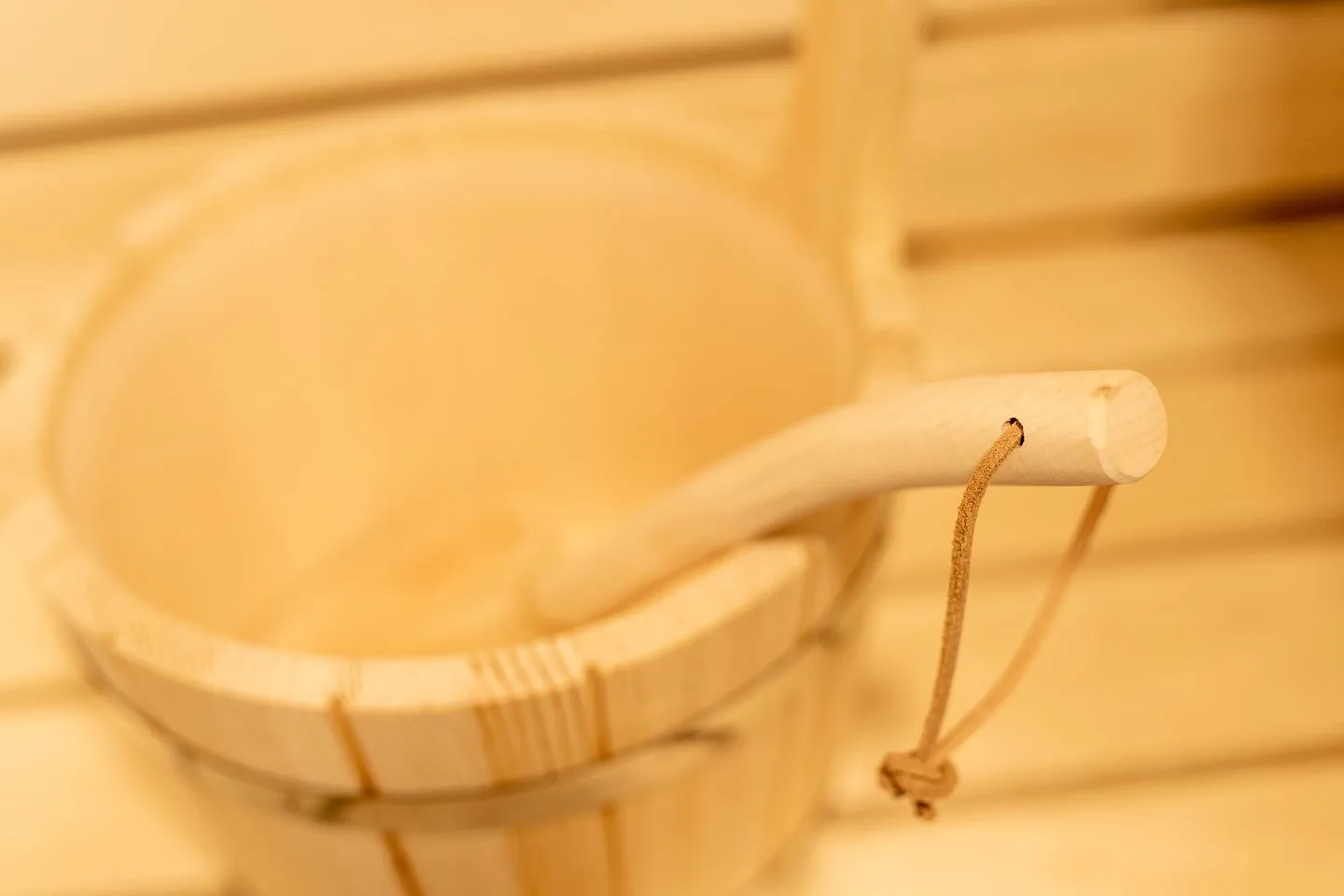 Heringsmöwe-in-der-DÜNENLUST  -