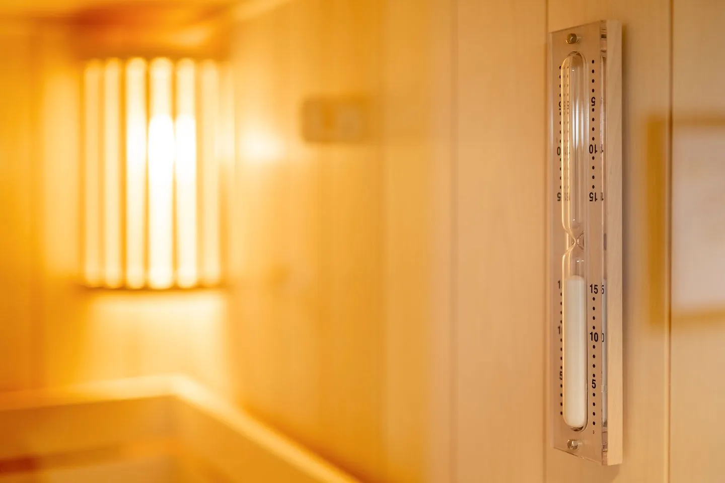 Heringsmöwe-in-der-DÜNENLUST  -