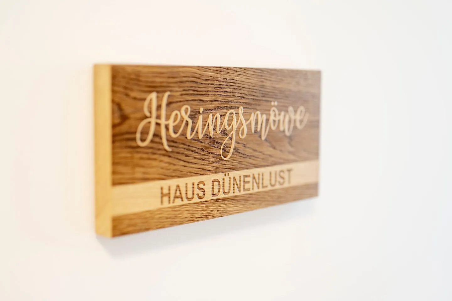 Heringsmöwe-in-der-DÜNENLUST  -