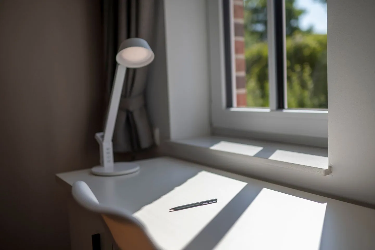 Heringsmöwe-in-der-DÜNENLUST  -