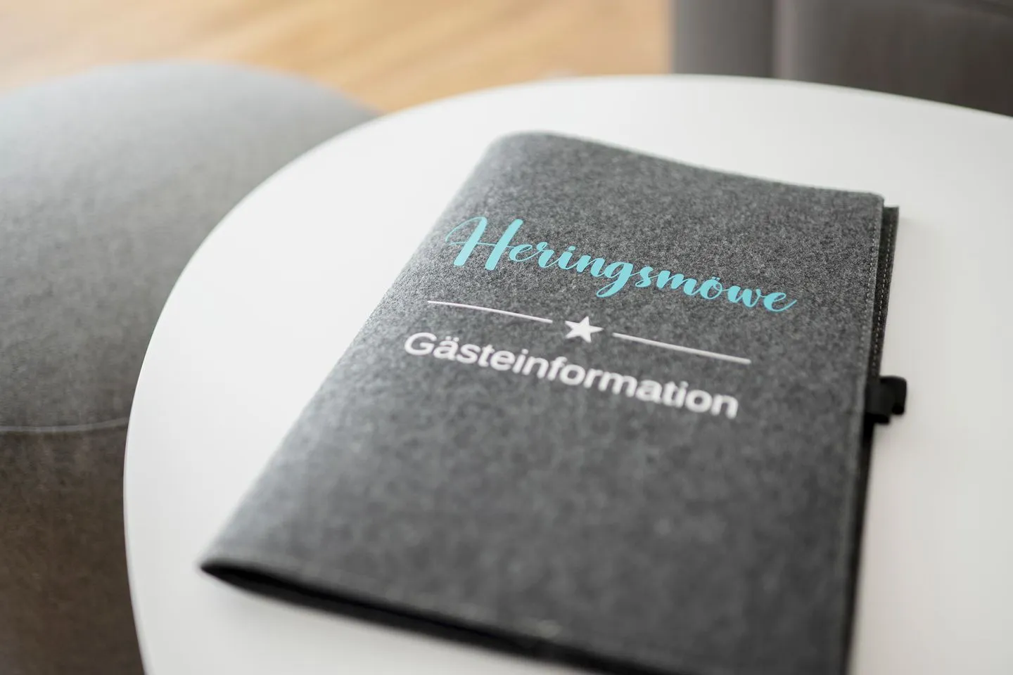 Heringsmöwe-in-der-DÜNENLUST  -