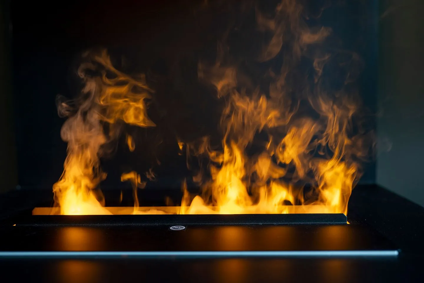 Ferienhaus Seeschwalbe 12/2  -