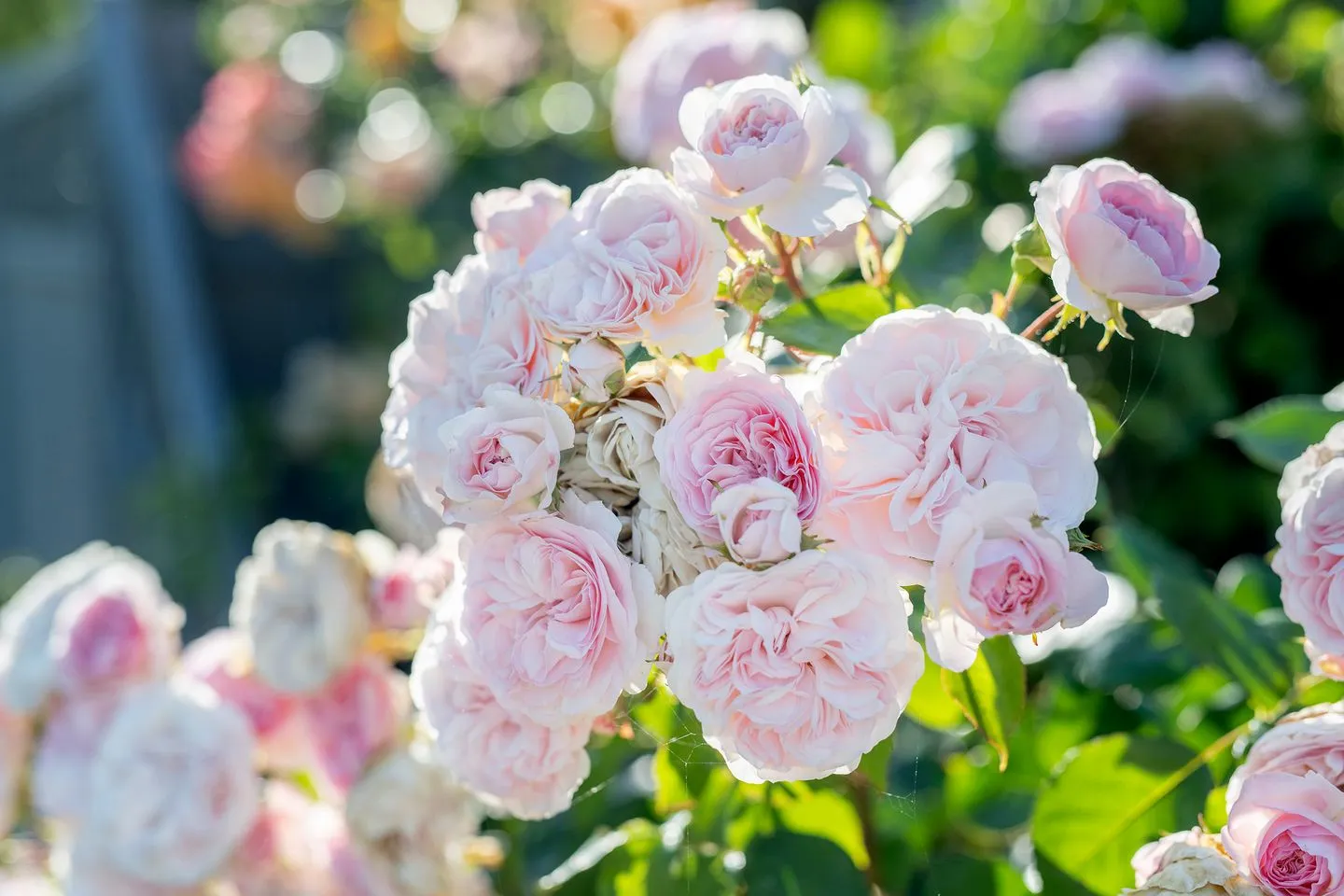 Das Künstlerhaus 'PALETTE' EG  -