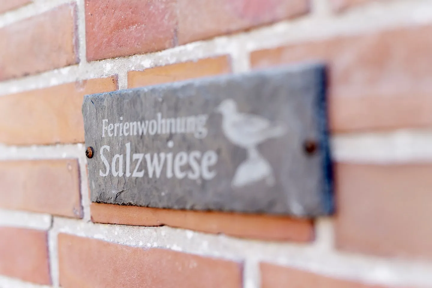 SALZWIESE im Beerkutscherhuus  -