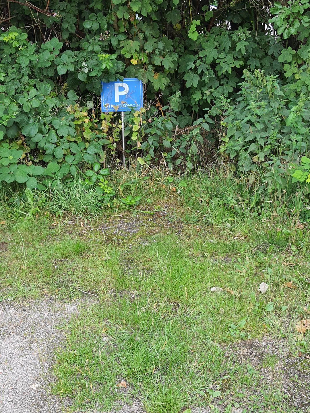  Am Fischmarkt 1 Whg. 4 "Strandkönigin" Deutschland - 